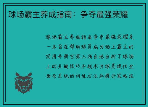 球场霸主养成指南：争夺最强荣耀